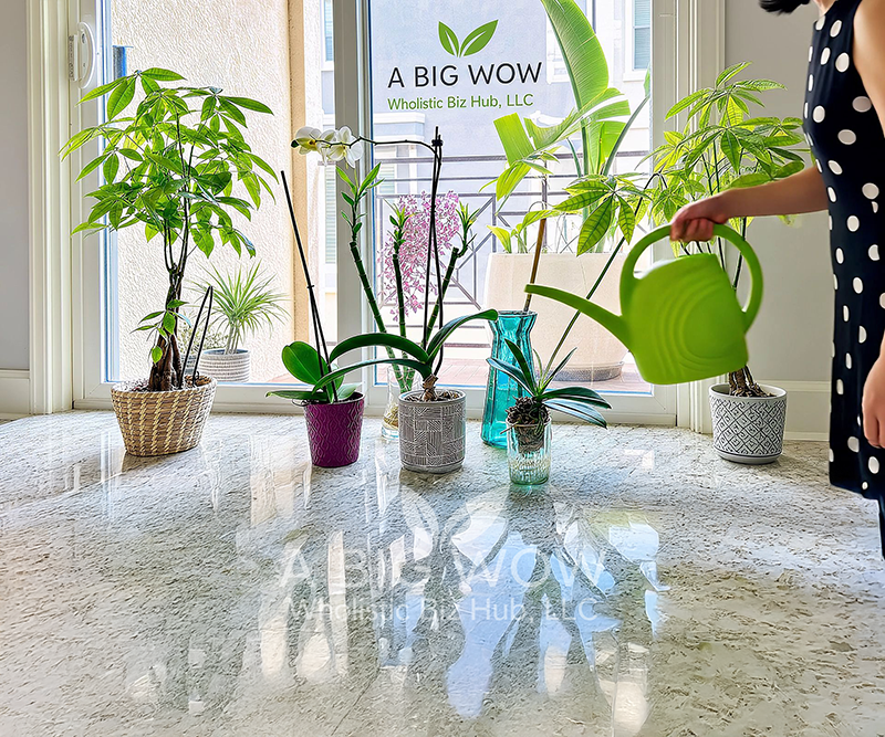 ABW-WBH About image